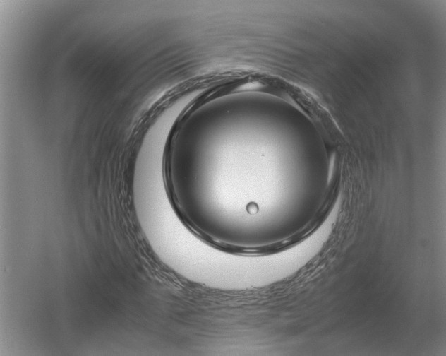 X0000053010871200507151945
