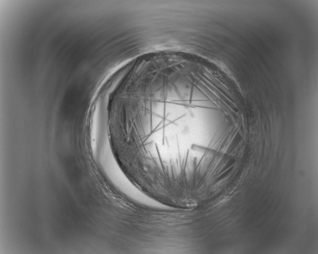 X0000053010879200507151945