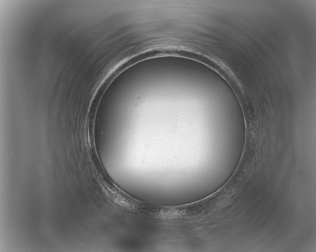 X0000053010887200507151945