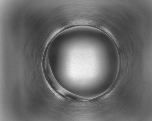 X0000053010901200507151944