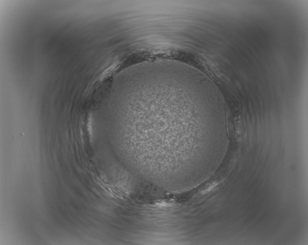 X0000053010916200507151943