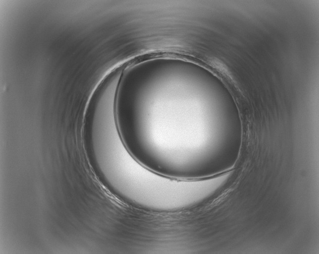 X0000053010924200507151944
