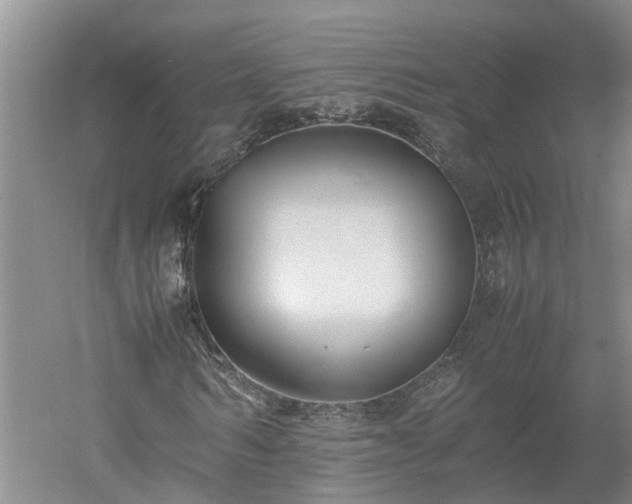 X0000053010962200507151943
