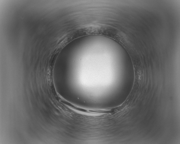 X0000053010964200507151943