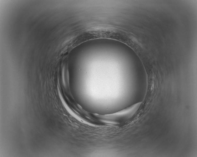 X0000053010965200507151943