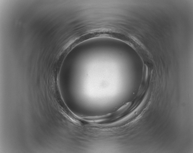 X0000053010969200507151943