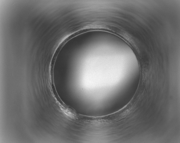 X0000053010988200507151943