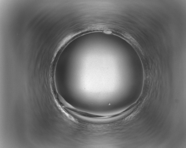 X0000053010989200507151943