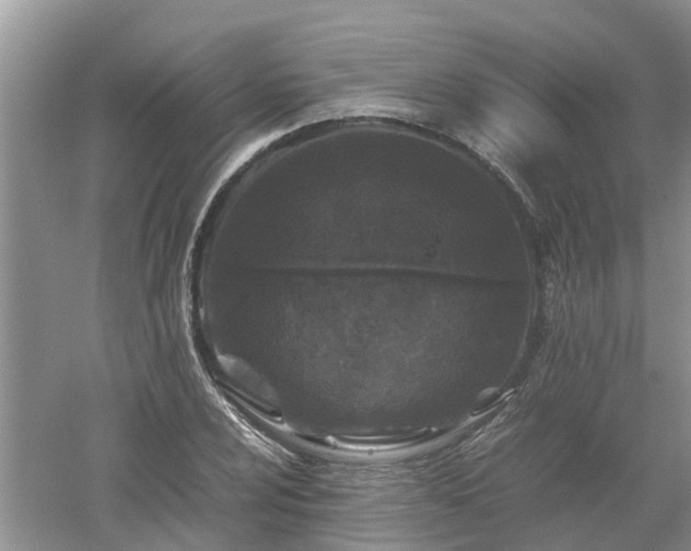 X0000053011024200507151942