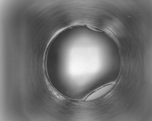 X0000053011052200507151942