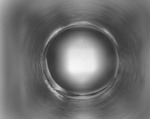 X0000053011054200507151942