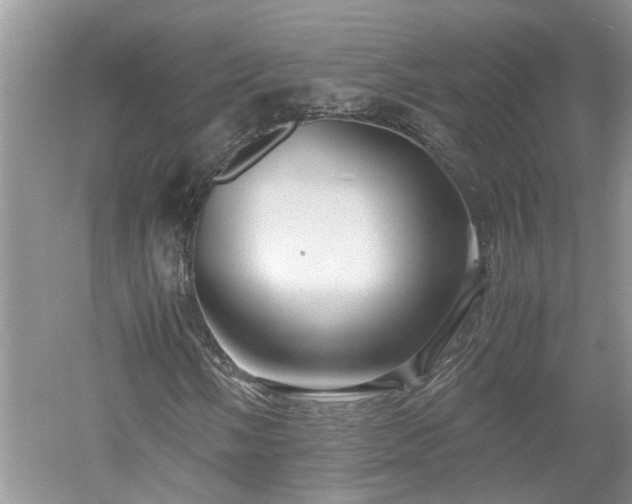 X0000053011058200507151942