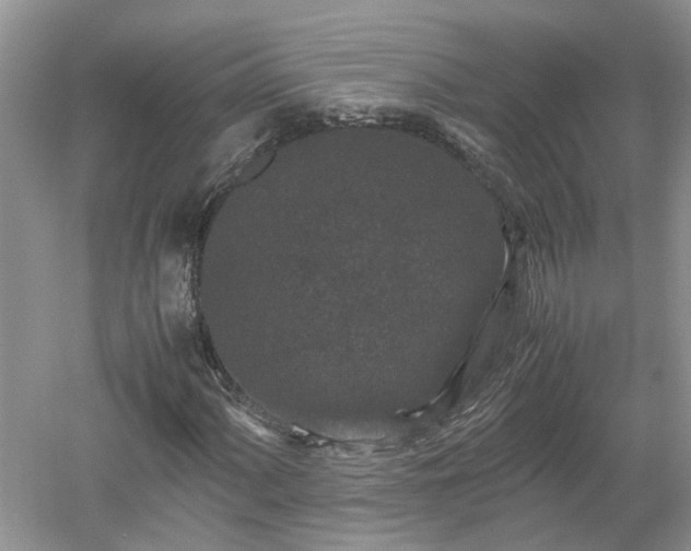 X0000053011060200507151942