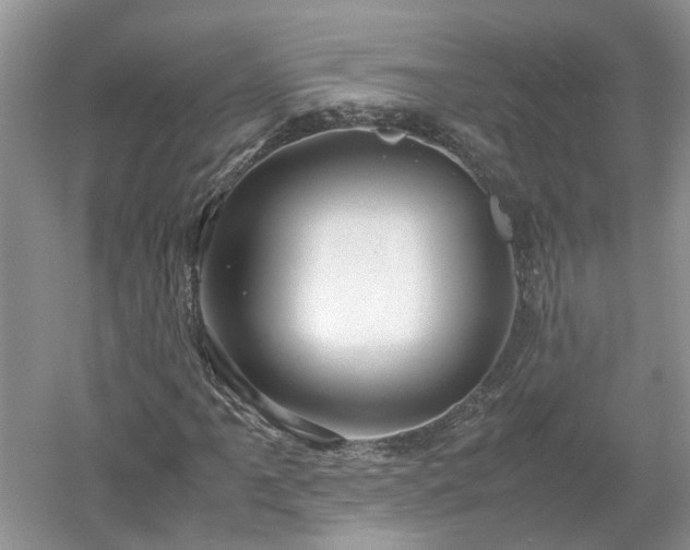X0000053011061200507151942
