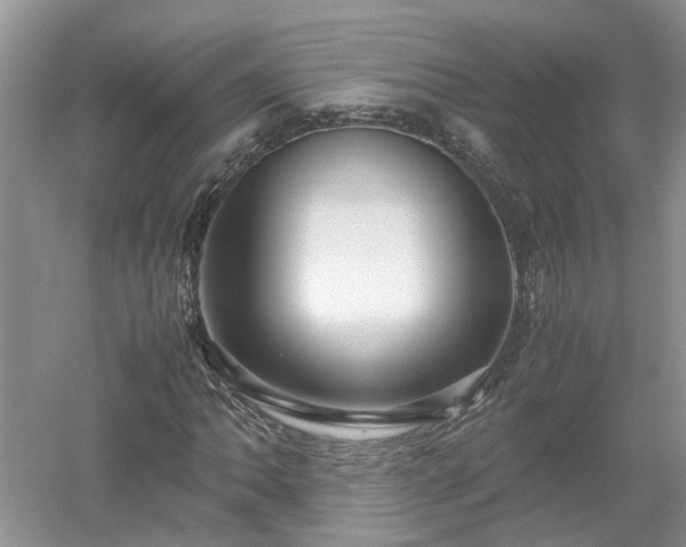 X0000053011062200507151942