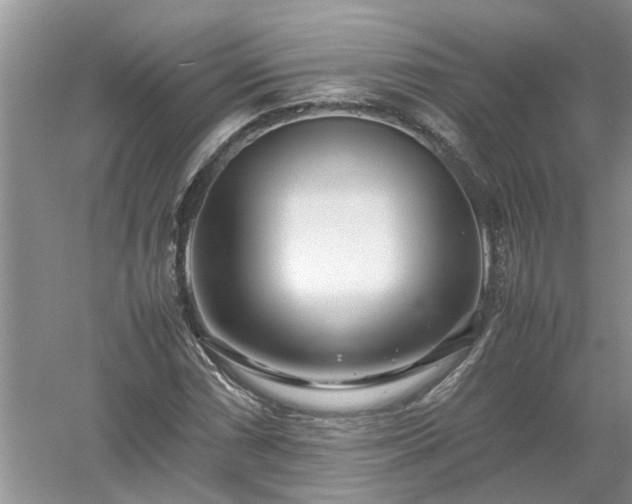 X0000053011066200507151942