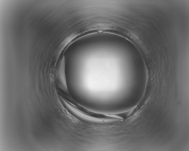 X0000053011081200507151941