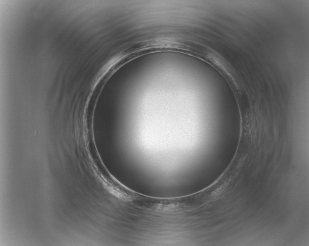X0000053011082200507151941