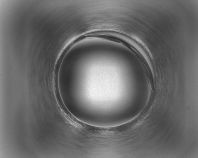 X0000053011085200507151941