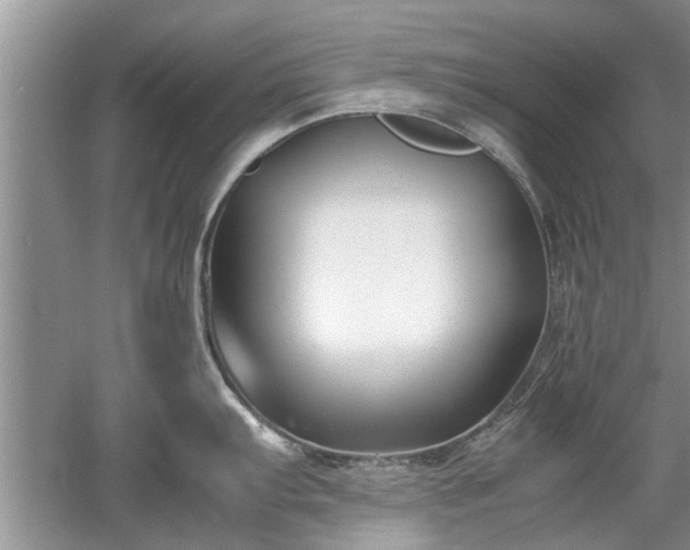 X0000053011103200507151941