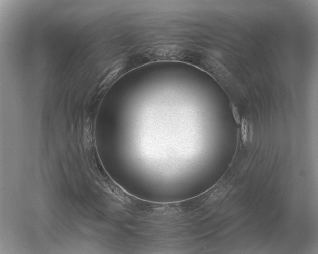 X0000053011107200507151940