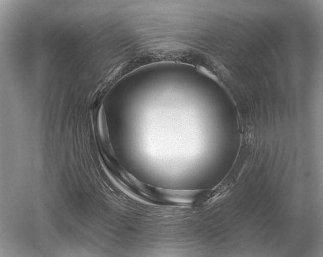 X0000053011108200507151940