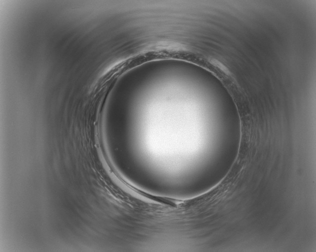 X0000053011112200507151940