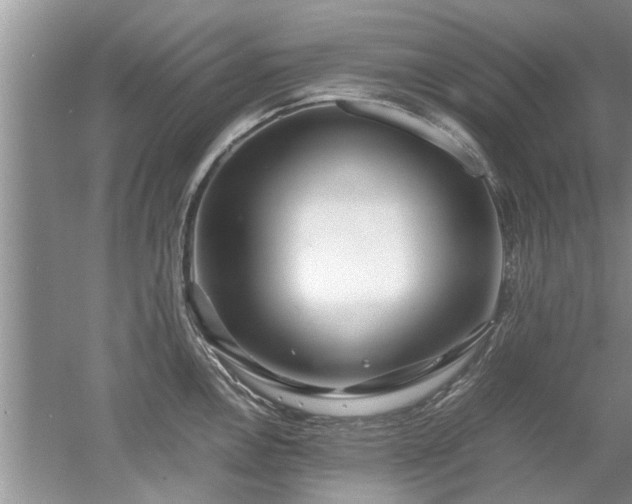 X0000053011146200507151941