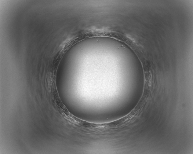 X0000053011157200507151940
