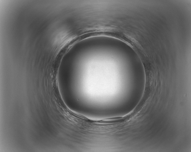 X0000053011163200507151940
