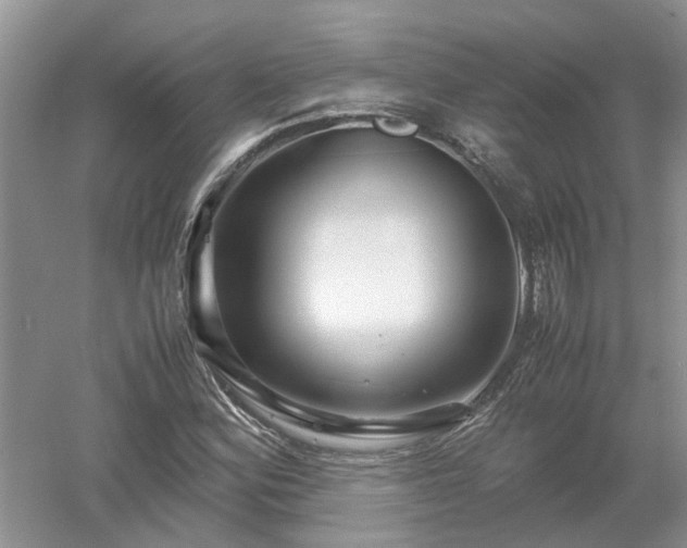 X0000053011164200507151940
