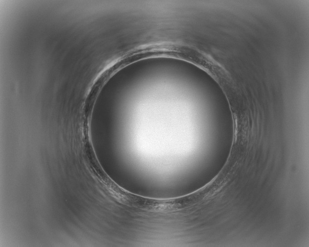 X0000053011166200507151940