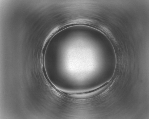 X0000053011180200507151940