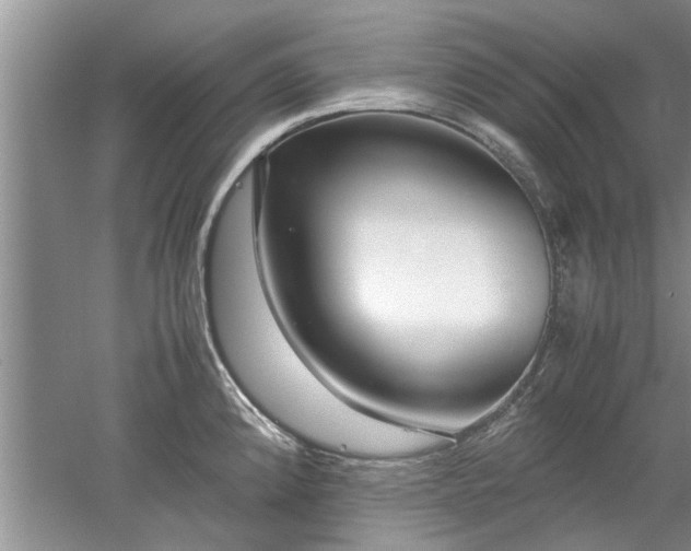 X0000053011192200507151939