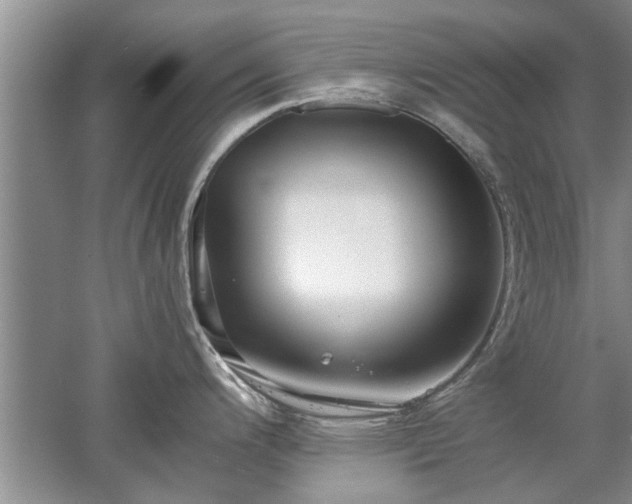 X0000053011200200507151939