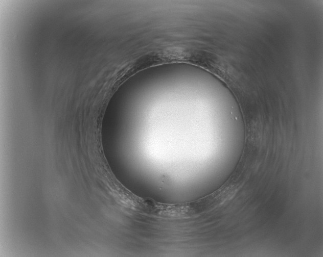 X0000053011201200507151938