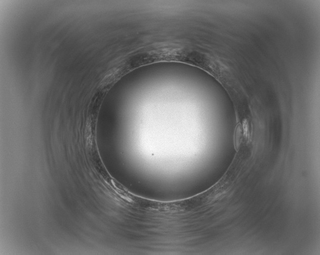 X0000053011203200507151938