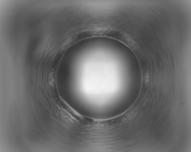 X0000053011204200507151938