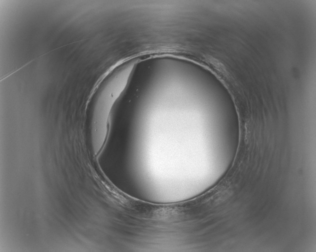 X0000053011212200507151939