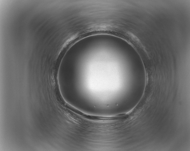X0000053011218200507151939