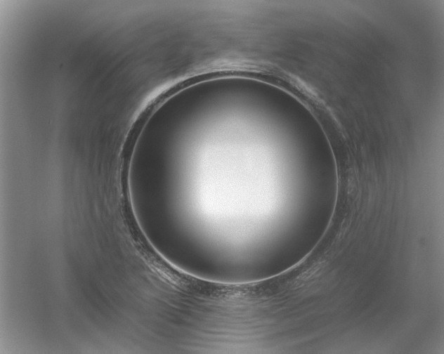 X0000053011222200507151939