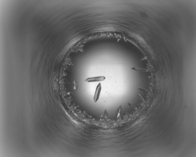X0000053011225200507151939