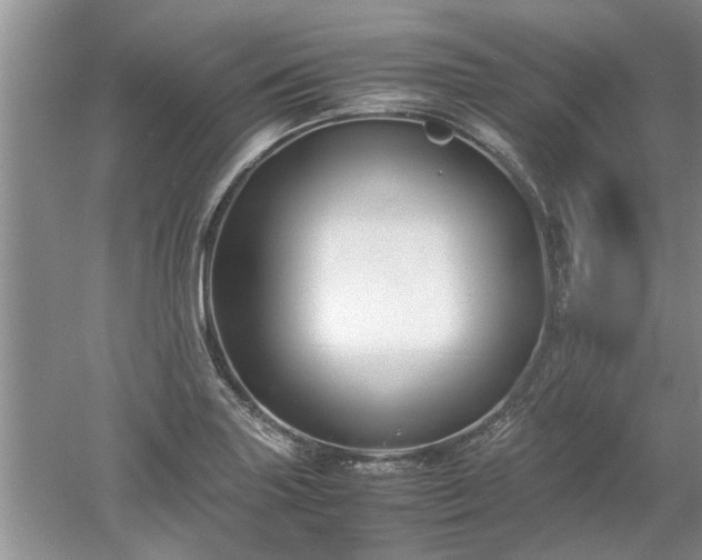 X0000053011227200507151939