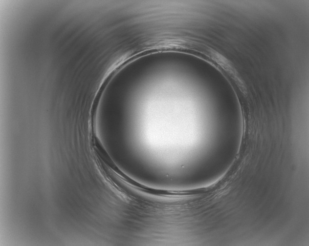 X0000053011234200507151939