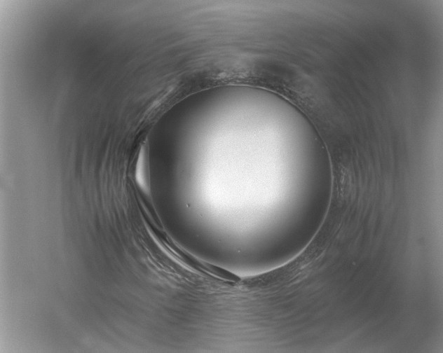 X0000053011250200507151938