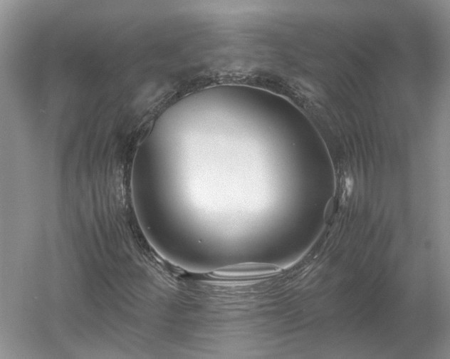 X0000053011252200507151938