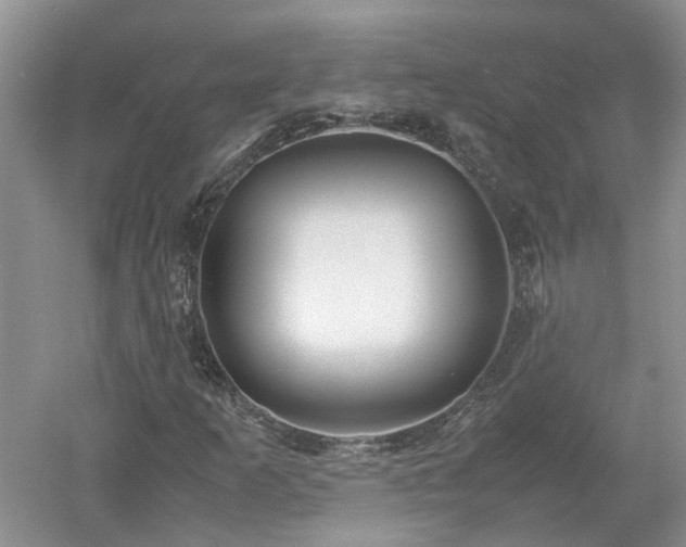 X0000053011253200507151938