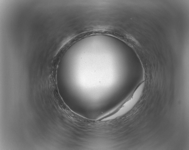 X0000053011256200507151938