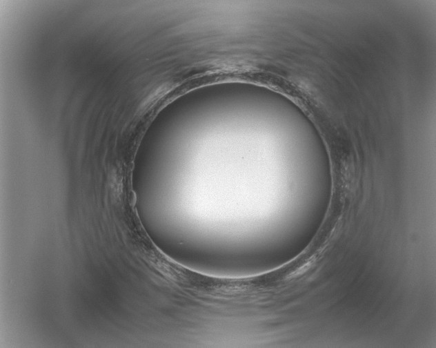 X0000053011257200507151938