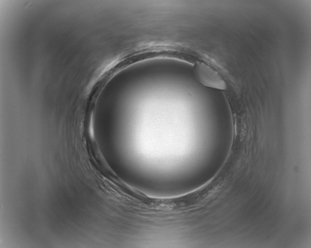 X0000053011261200507151938